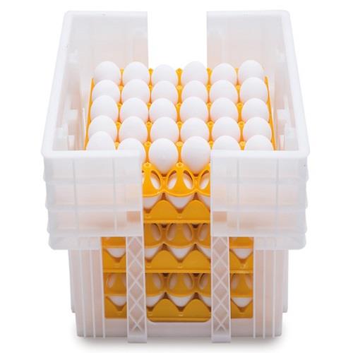 Salaka Portauova in plastica per esterni con 6 griglie per uova Arancione 